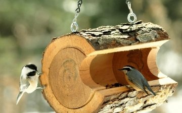 Feed the birds - original feeders