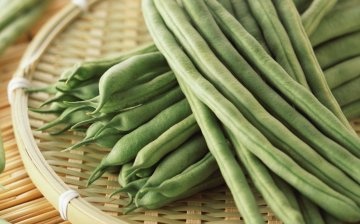 The best green beans to grow