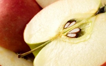 Uzgoj stabla jabuke iz sjemena