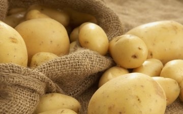Increasing the yield of potatoes
