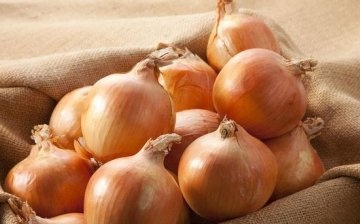 Onion storage