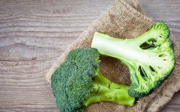 Characteristics of broccoli