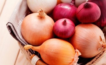 Choosing the best onion varieties to grow