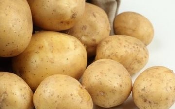 Krumpir Adretta