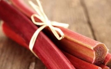 The composition of rhubarb and its beneficial properties