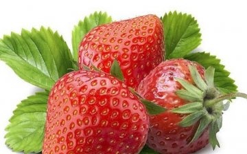 Strawberry "Mashelka"