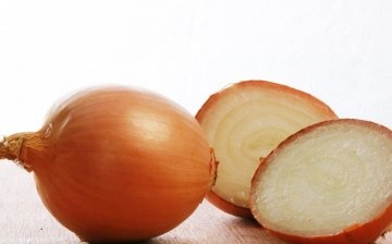 Onions - composition and useful properties