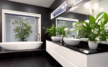 Selection of plants for a bathroom without windows