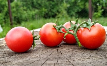 Sploon rajčice