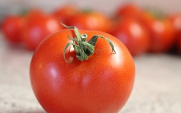 Vitamins and trace elements in tomatoes