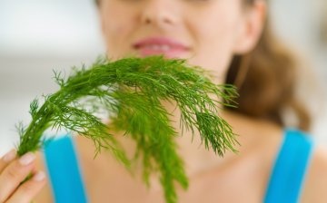 The composition and useful properties of dill