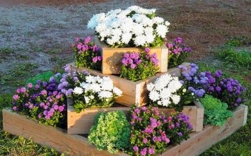 Design solutions for decorating flower beds