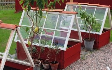 Hogyan készítsünk mini üvegházat felesleges ablakokból