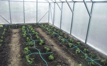 Autowatering - basic principles and scheme of work