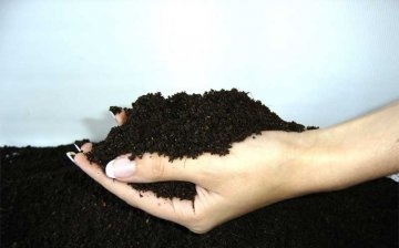 Metode de dezinfectare a solului