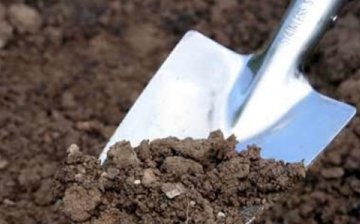 Soil preparation, terms and rules of planting