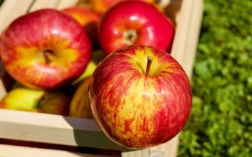 Sweet varieties of apples