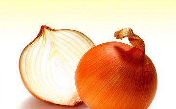 The composition and properties of onions