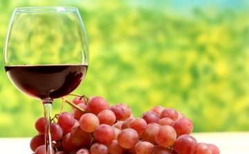 Lídři mezi odrůdami vína