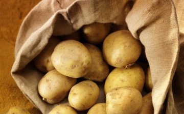 Good potato seeds