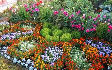 General rules for decorating a flower garden