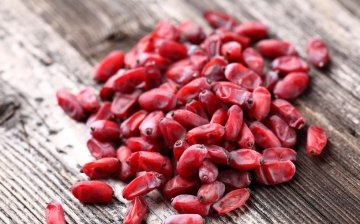 Useful properties of barberry berries