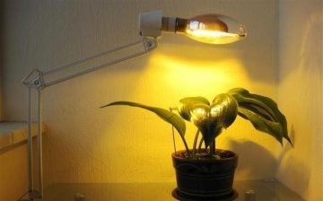 Artificial lighting for plants