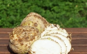 Celery root: composition and useful properties