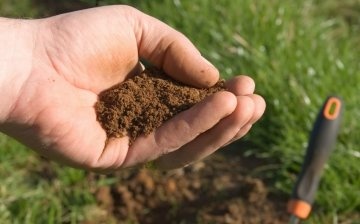 مفهوم حموضة التربة وأنواعها ومعدلها