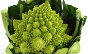 What is Romanesco cabbage
