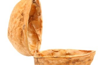 Složení a vlastnosti skořápek vlašských ořechů
