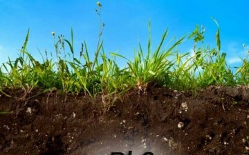 Aciditatea solului - ce este?