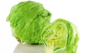 Iceberg cabbage varieties