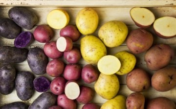 ما هي أنواع البطاطس التي تختارها؟