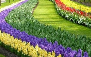 Types of flower beds for a summer residence