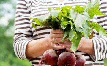 Correct use of beets for weight loss