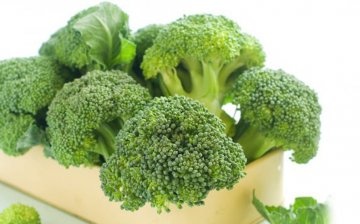 Nejlepší odrůdy a hybridy brokolice