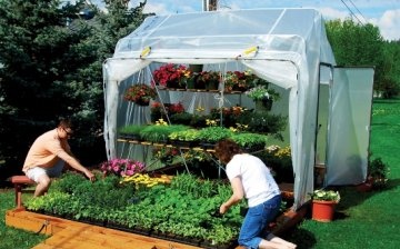 What crops are grown in greenhouses