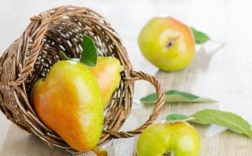 The most popular varieties of winter pears