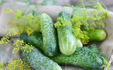 Cucumbers Courage