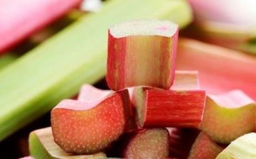 Harm and contraindications for the use of rhubarb