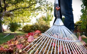What work in the garden and garden needs to be done in October