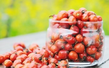 Can rose hips be harmful