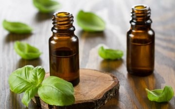 The composition and properties of basil essential oil