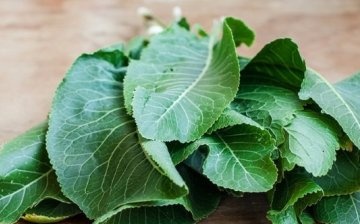The use of horseradish leaves in cooking