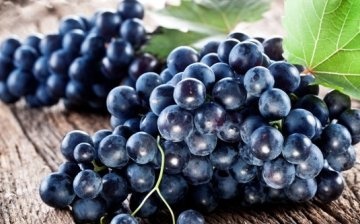 Composition, useful properties of berries