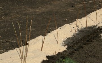 تحضير التربة