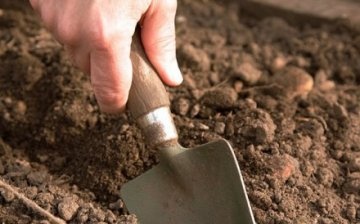 Seed and soil preparation