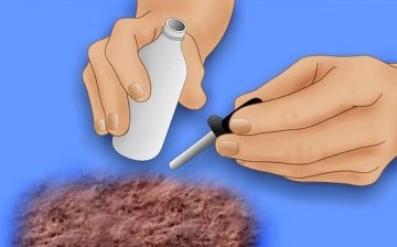 Best methods for testing soil acidity
