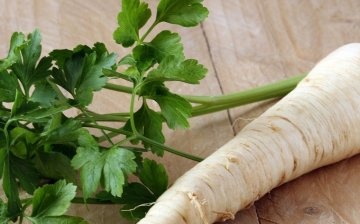 Parsley - what is it?